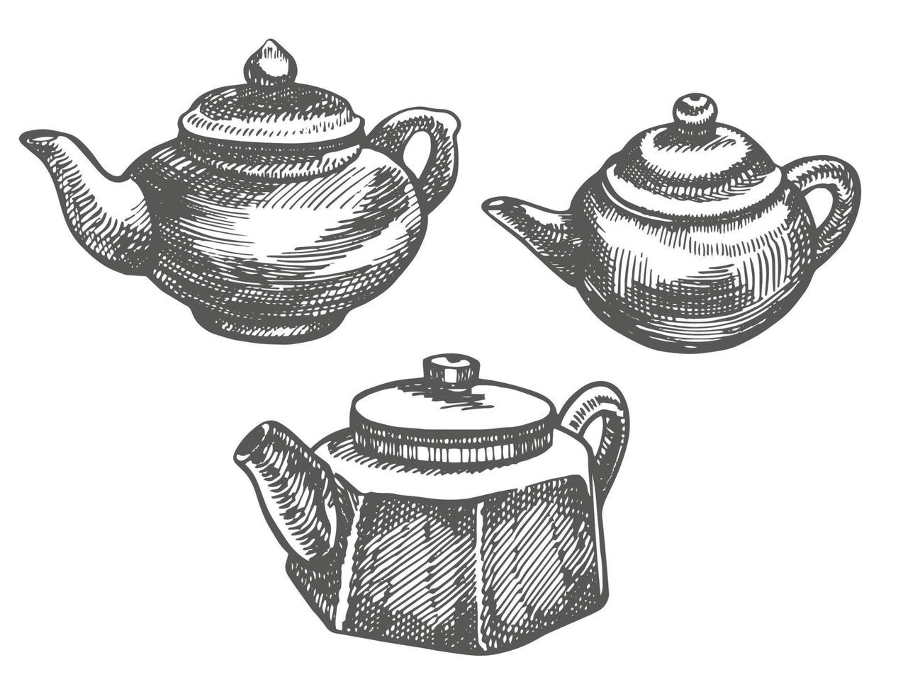 Chinese traditional teapod. Graphic hand-drawn illustration, vector. vector