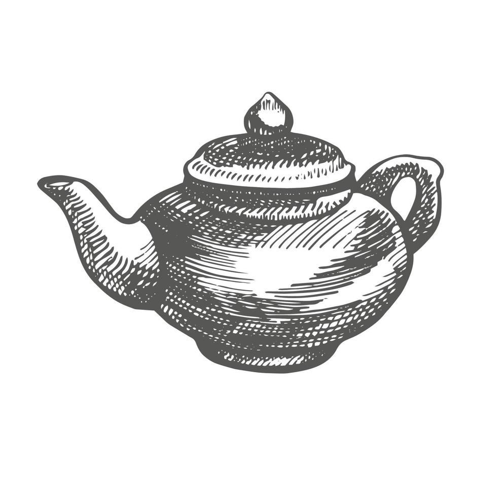 Chinese traditional teapod. Graphic hand-drawn illustration, vector. vector