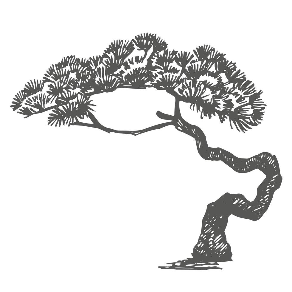 Branch and tea trees. Green tea. Vector hand drawn illustration.