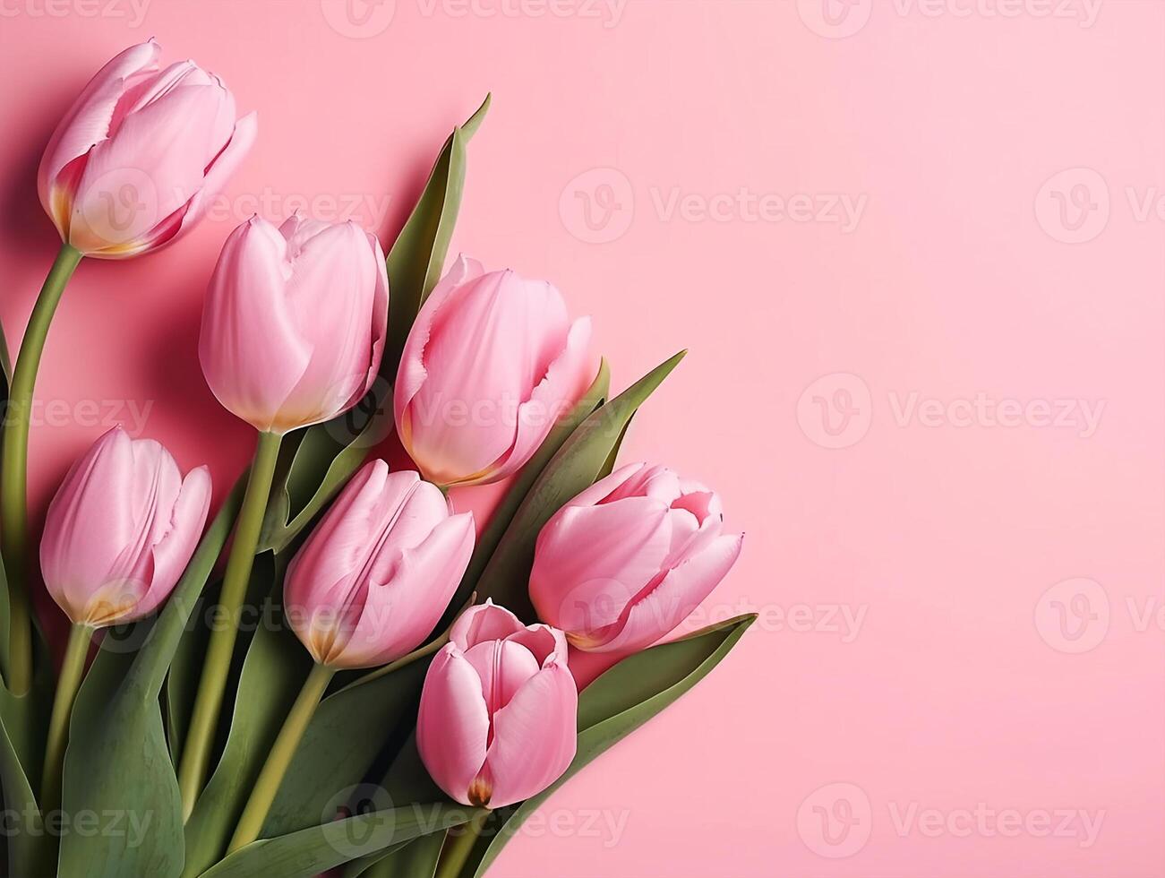 Tulips flower on pink background with beautiful tulips for Mother's Day. photo