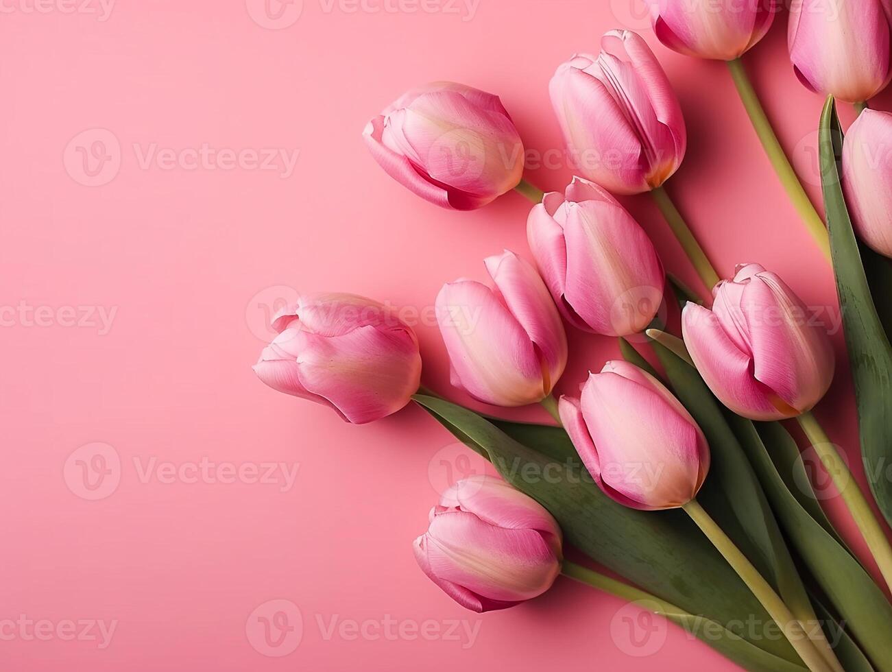 Tulips flower on pink background with beautiful tulips for Mother's Day. photo