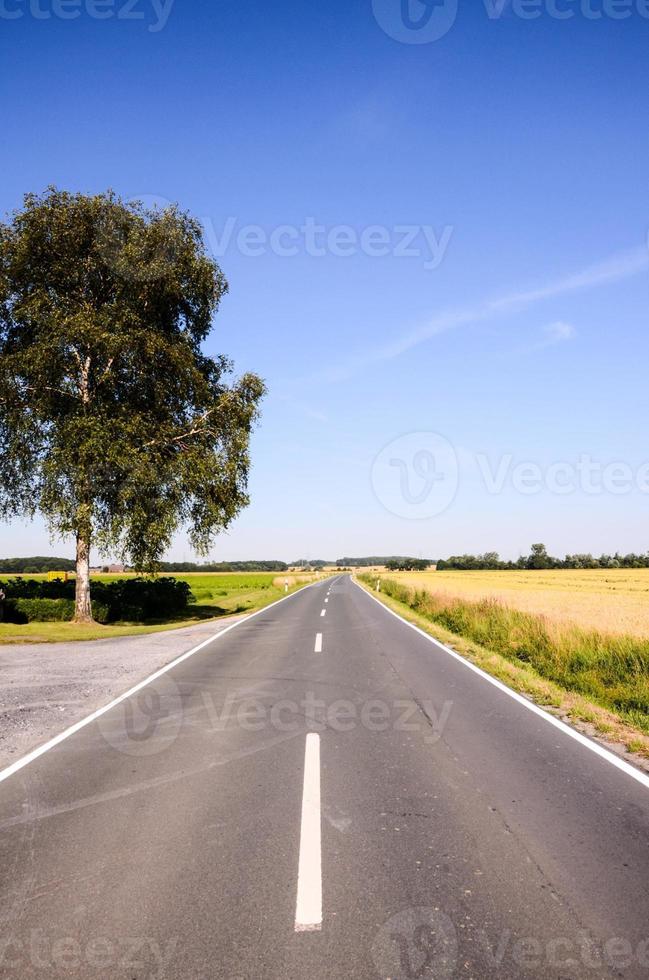 Road through the scenic landscape photo