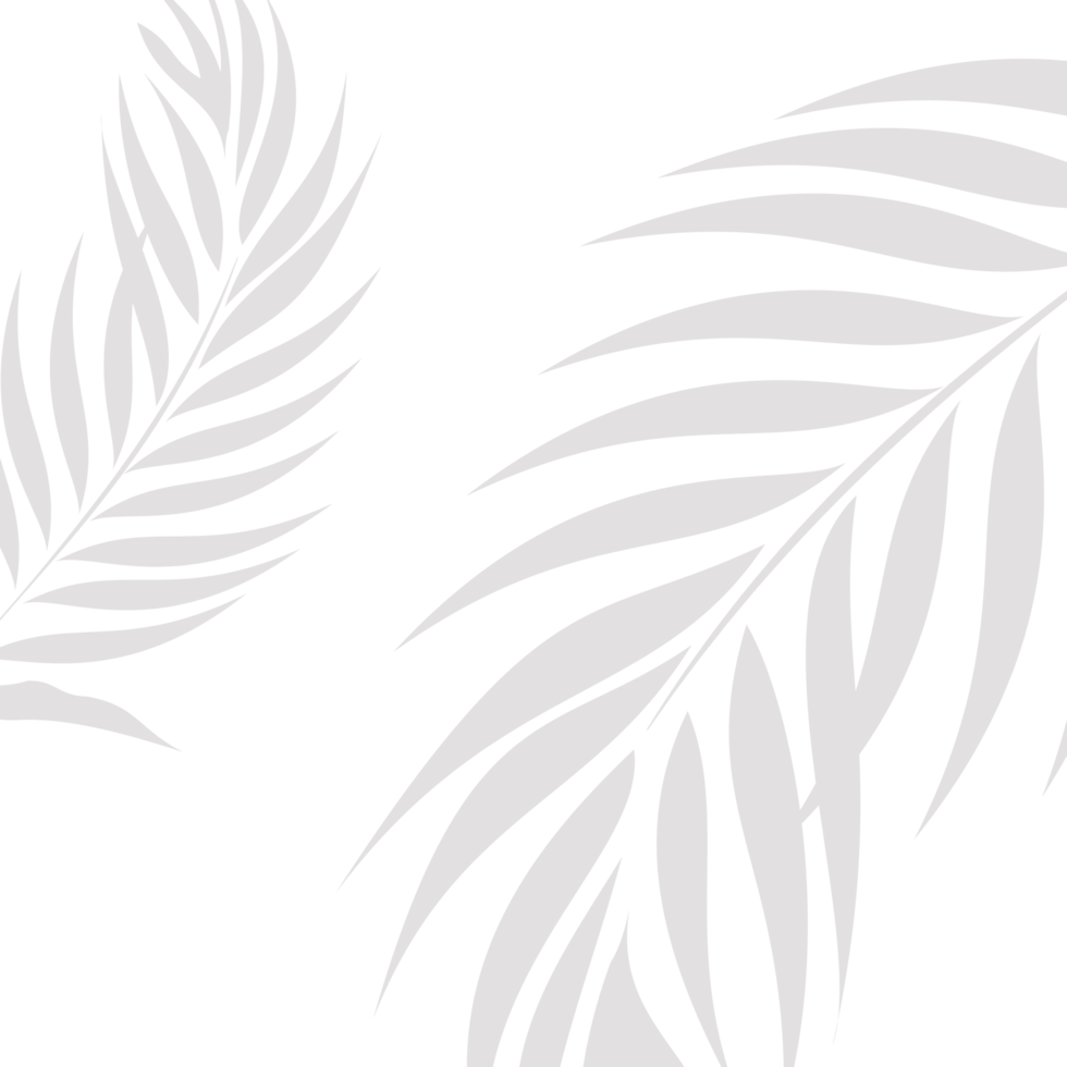 Background of tropical plant leaves in light gray png