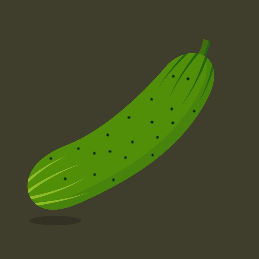Realistic Cucumber isolated on green background. vector