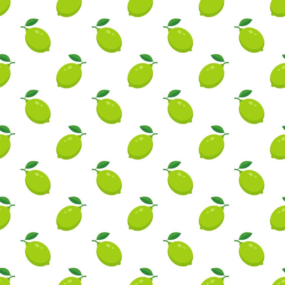 Lime with green leaves, slice citrus white background. vector