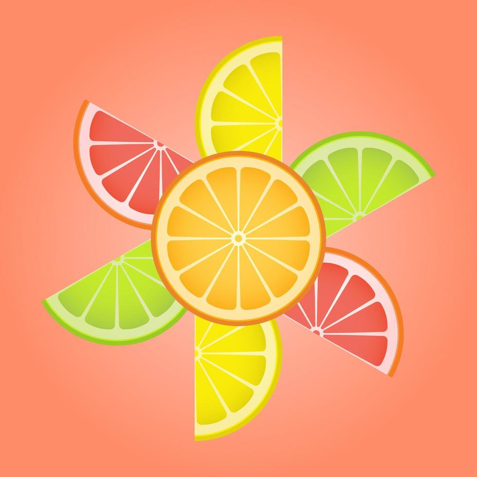 Citrus slices of lemon, kiwi, orange, grapefruit in the form of a flower. vector