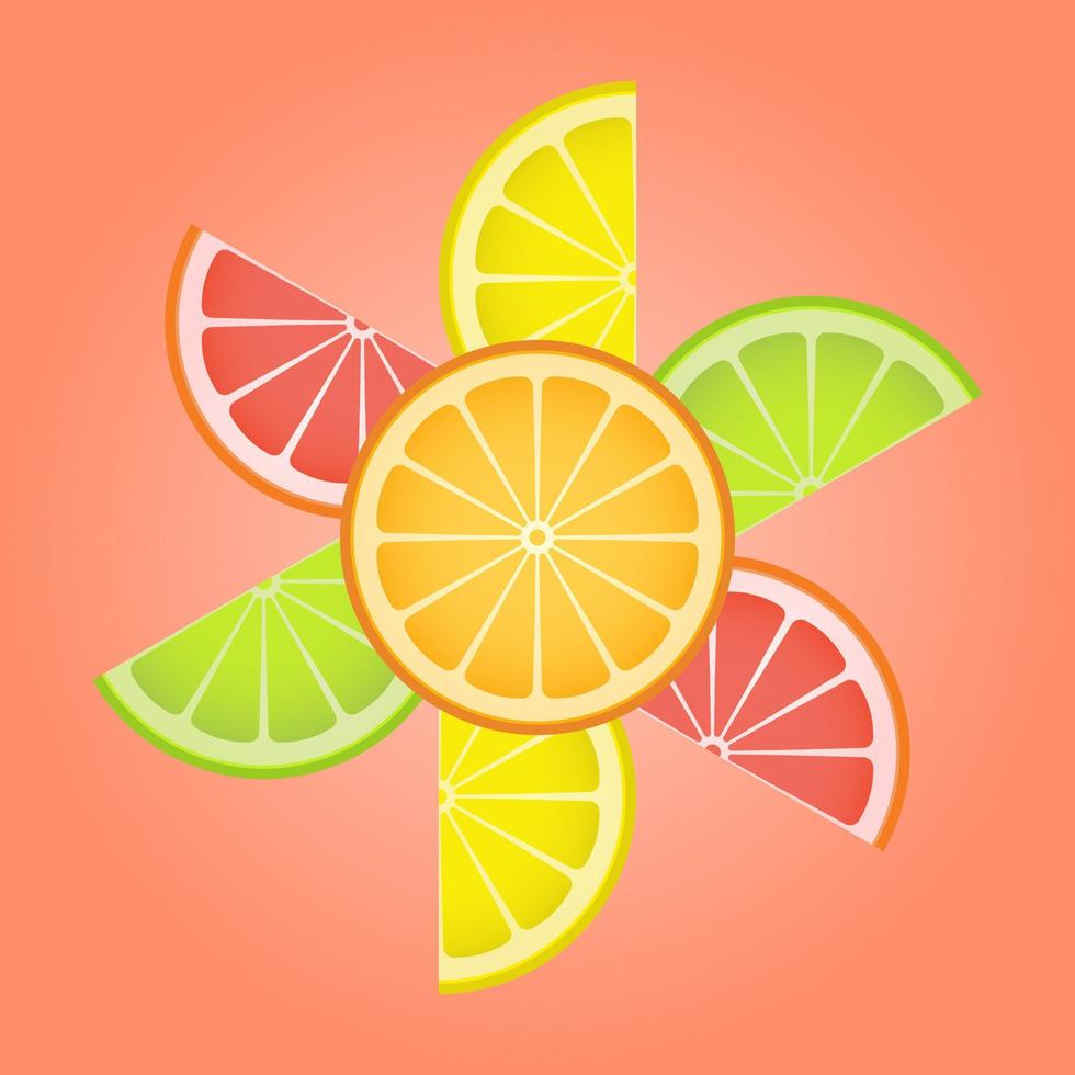 agrios rebanadas de limón, kiwi, naranja, pomelo en el formar de un flor. vector