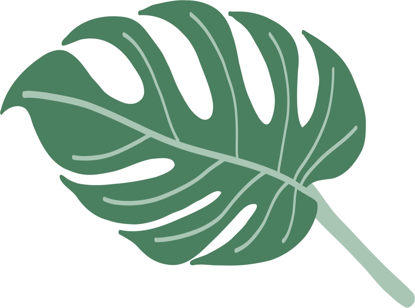 Simplicity monstera leaf freehand drawing png