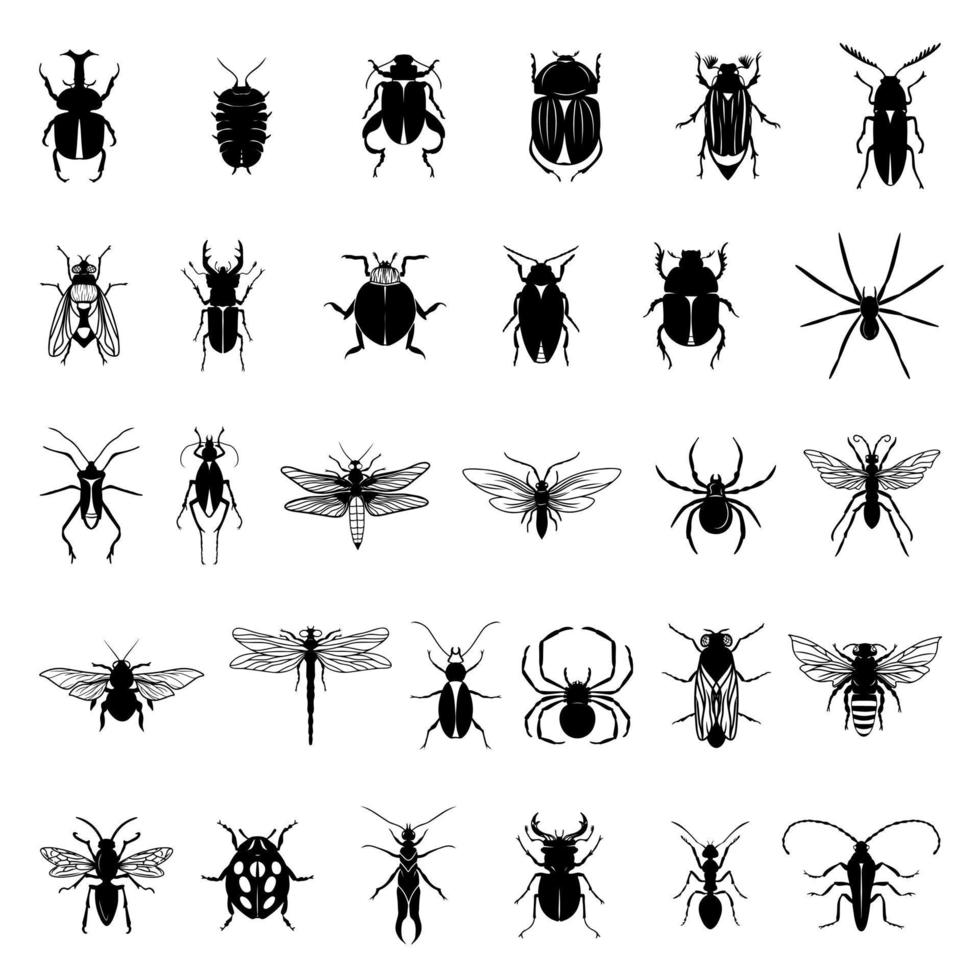 Collection of black insects isolated on a white background. vector