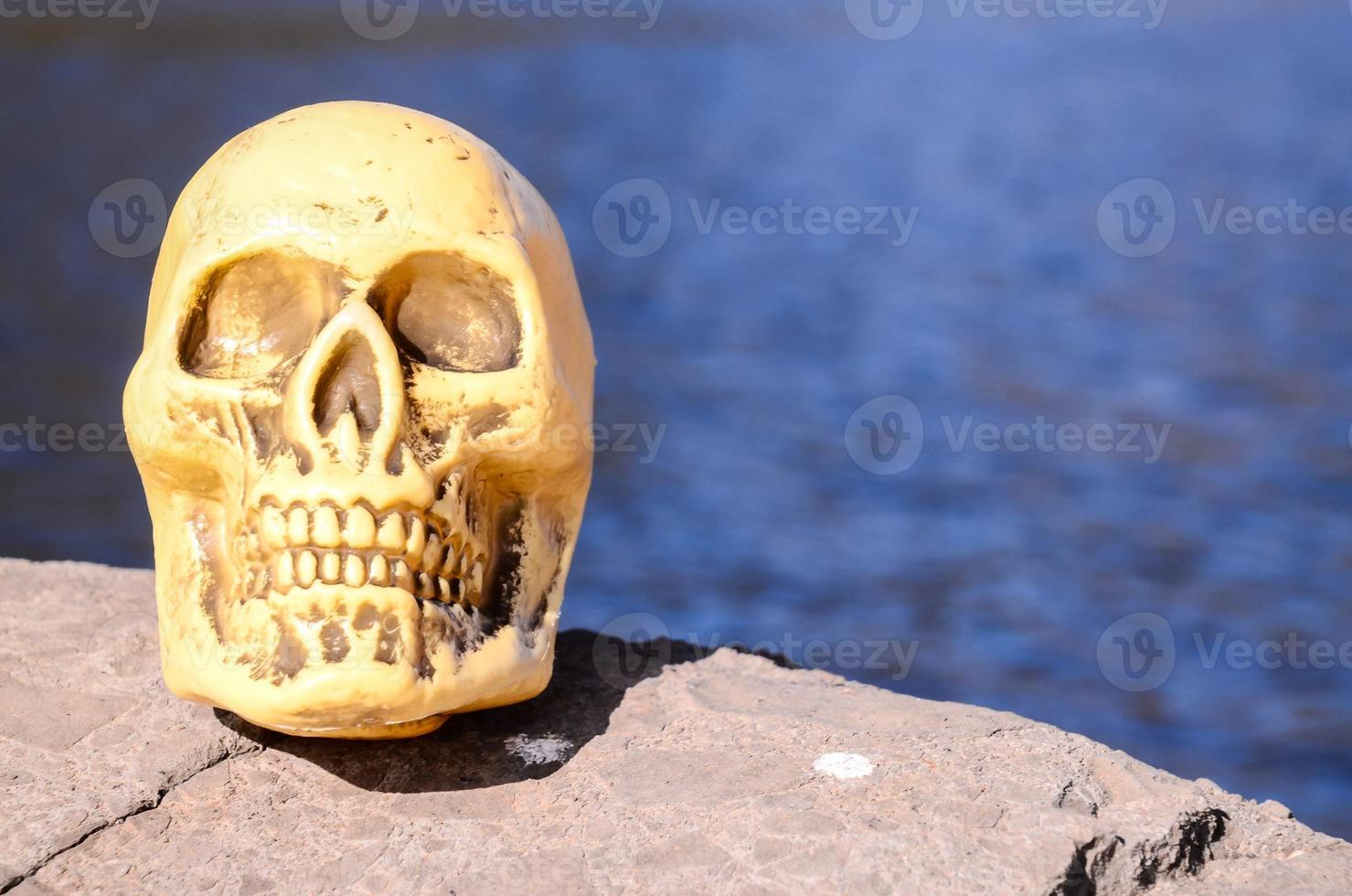 Skull statue on a rock photo
