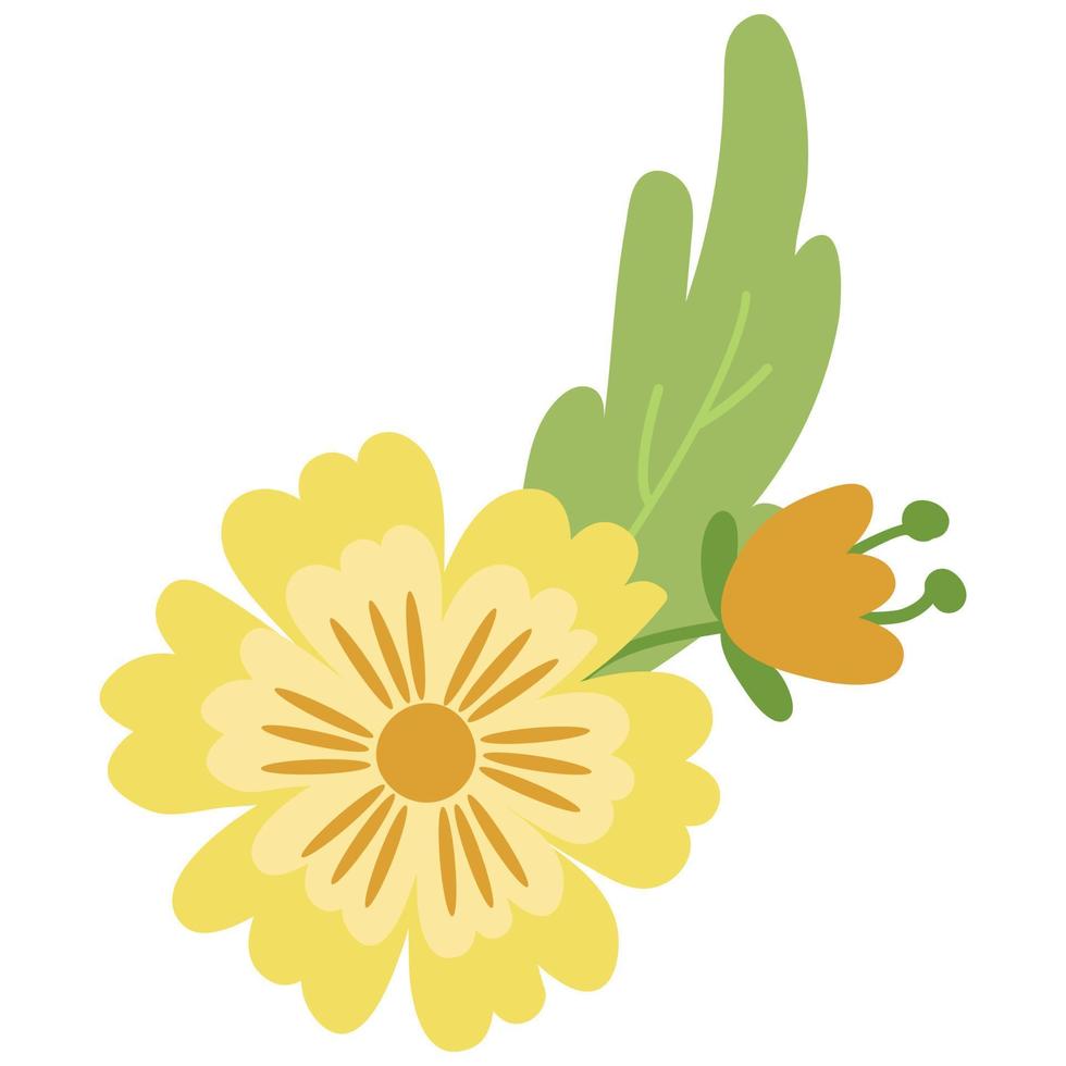 Plants and Flowers. White background, isolate. Vector illustration.