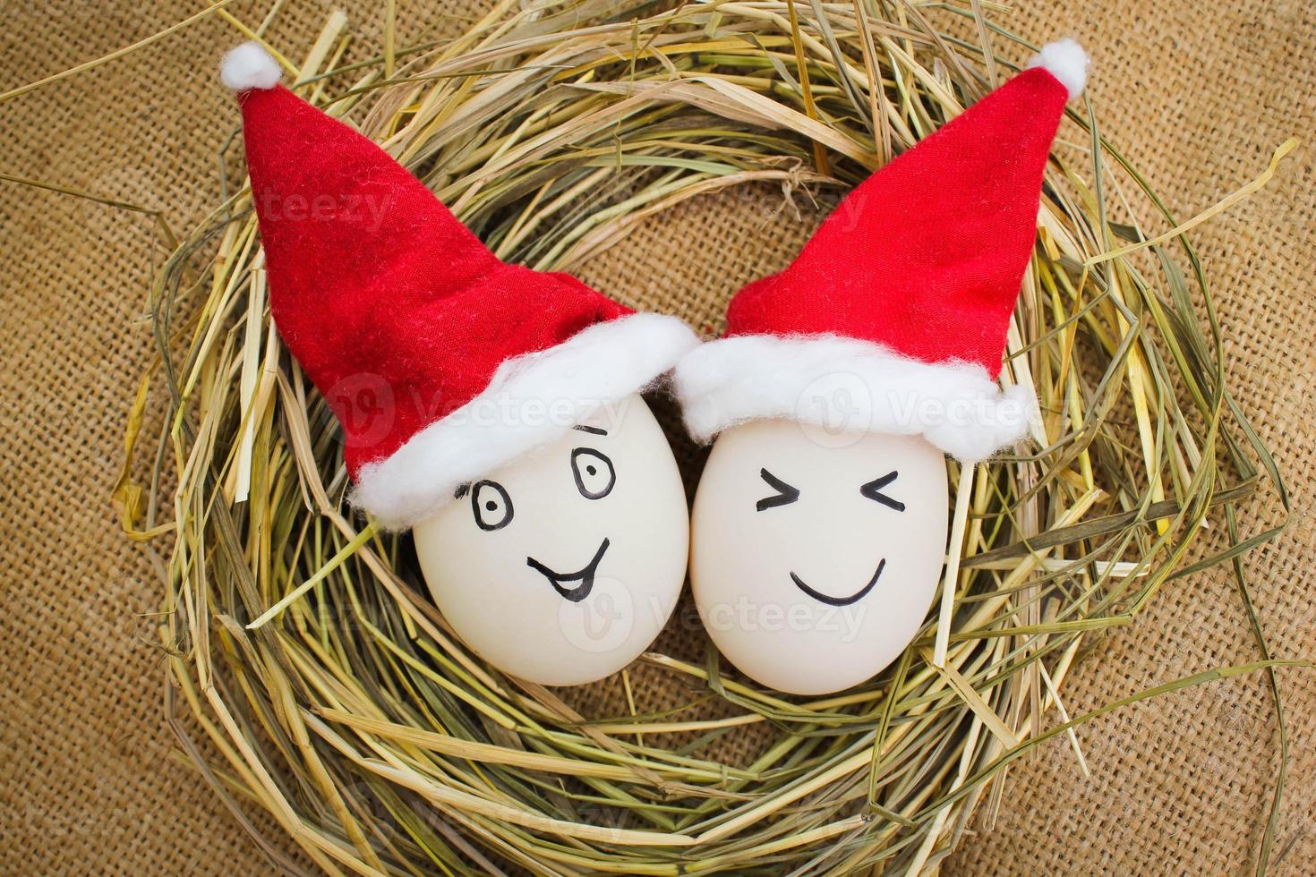 Happy eggs at Christmas. photo