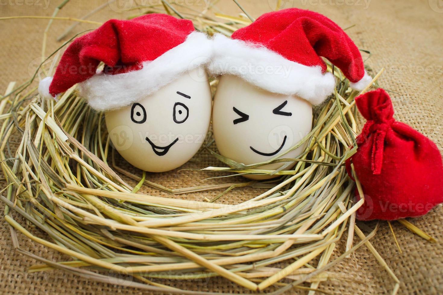 Happy eggs at Christmas. photo