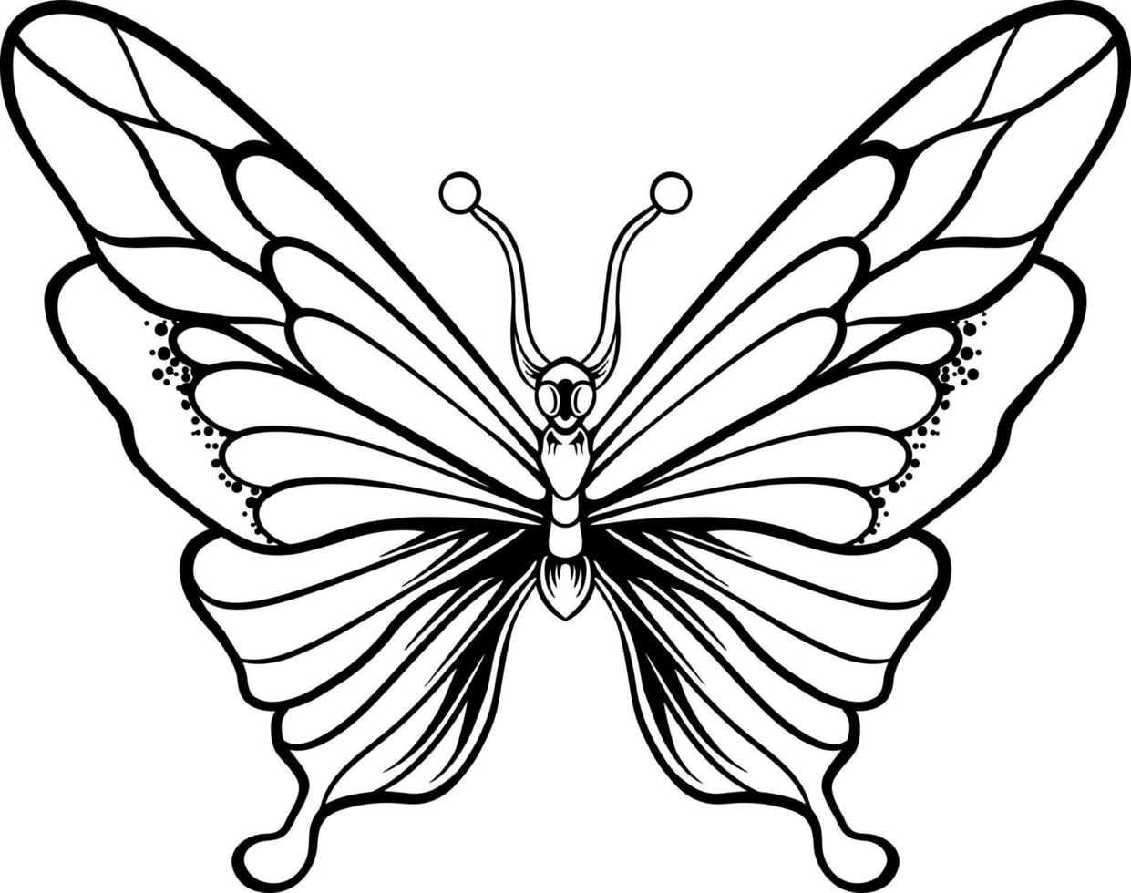 beautiful butterfly coloring book vector
