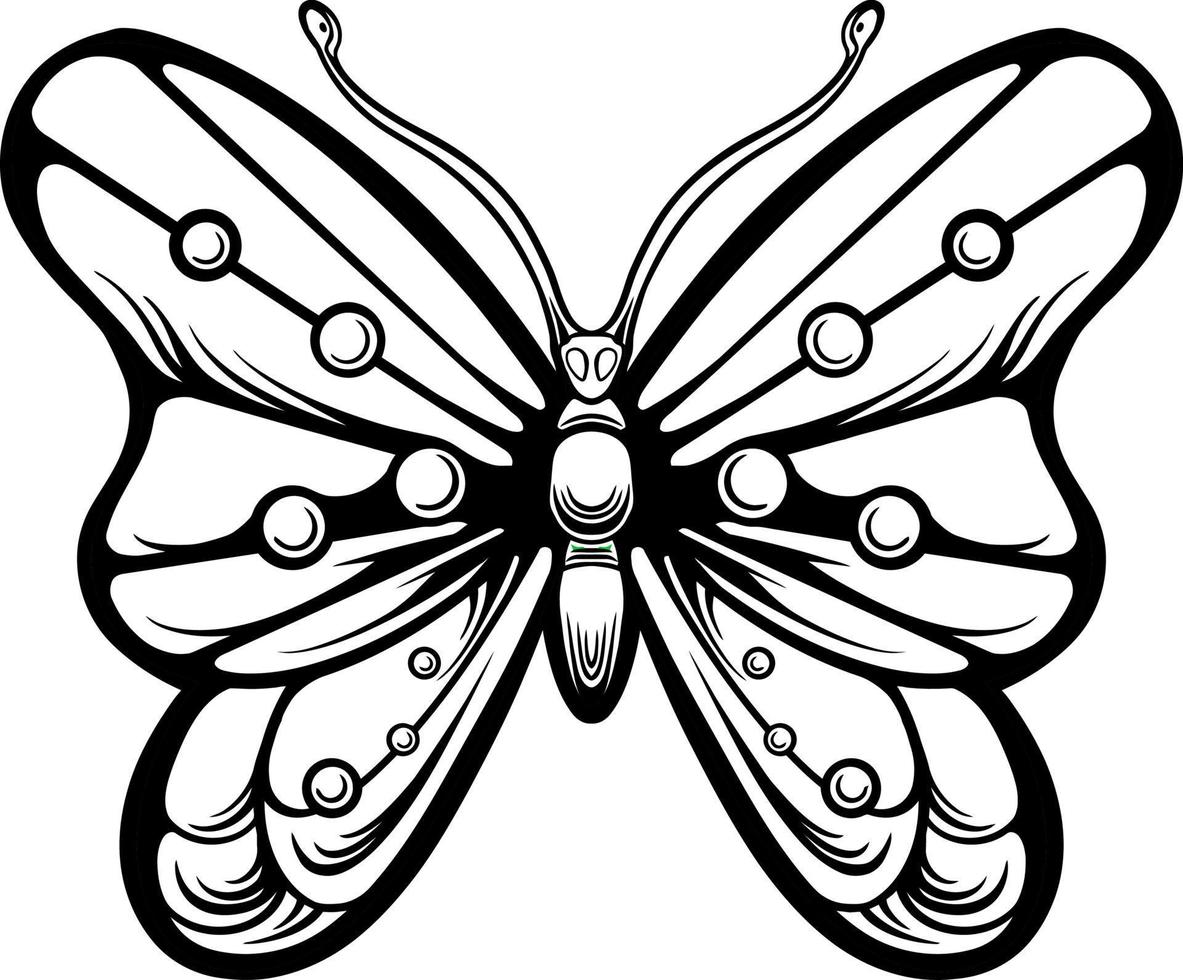 beautiful butterfly coloring book vector