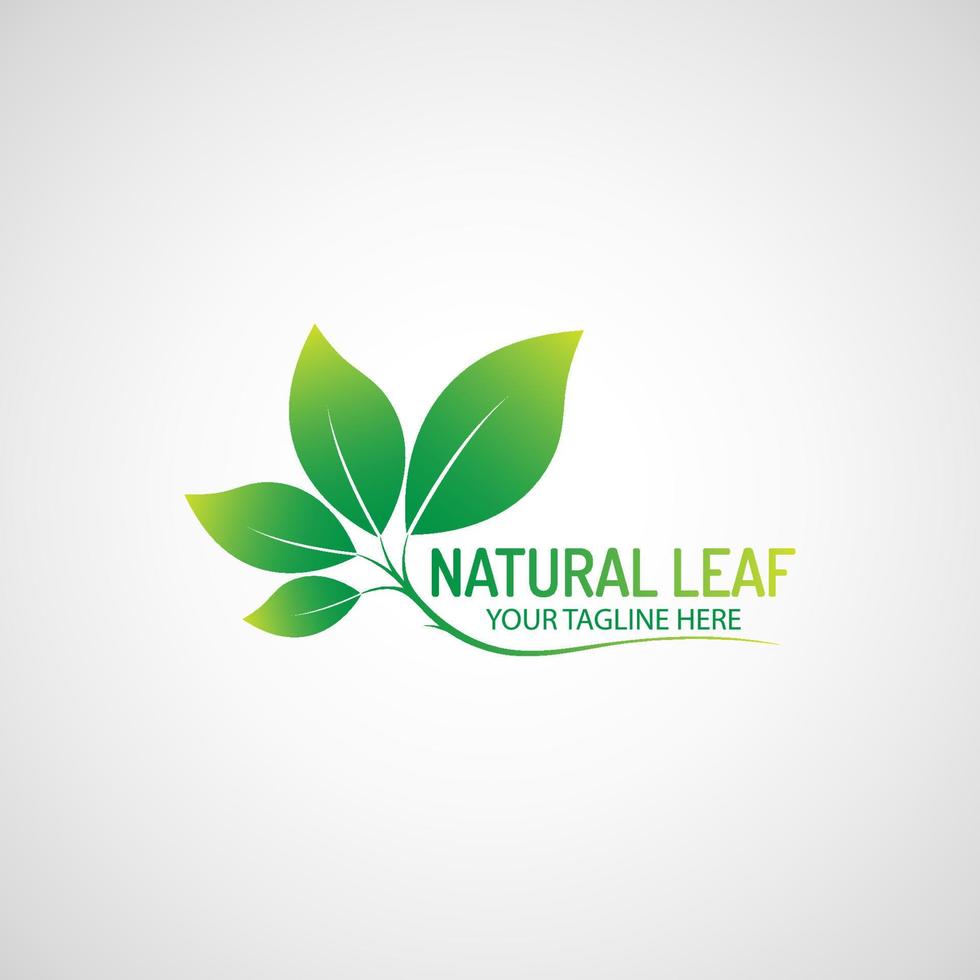 Green leaf logo design vector file