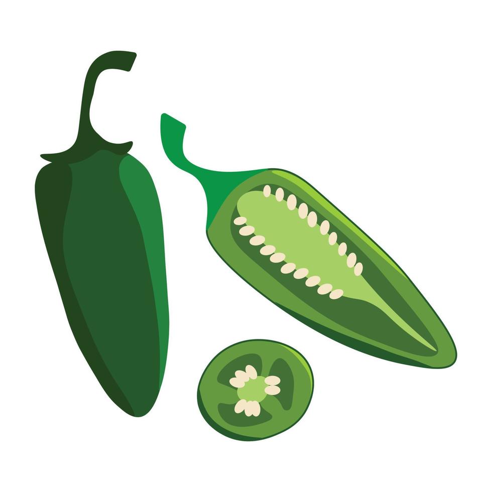 Vector illustration of a green jalapeno pepper whole and cut in pieces, on white background
