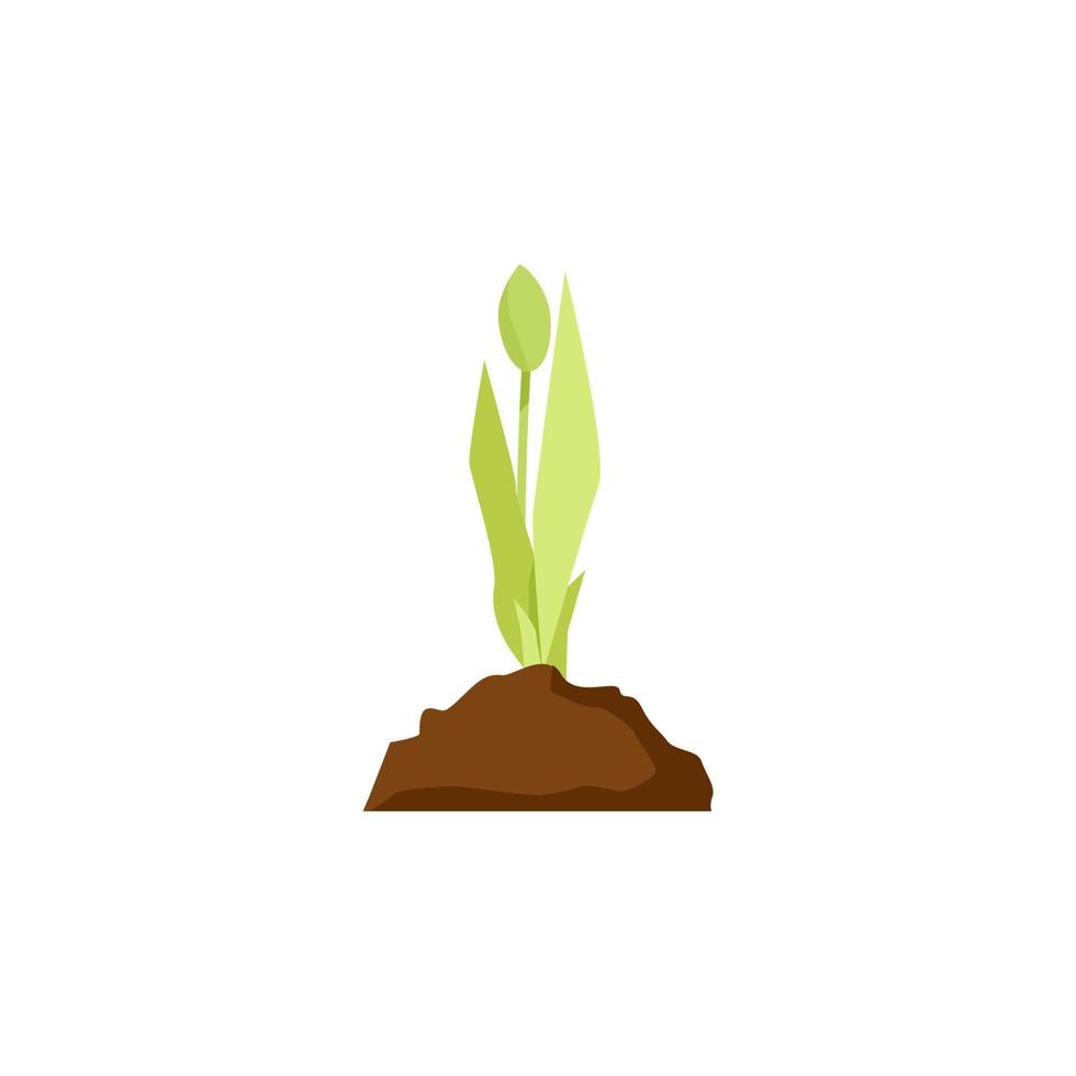 Young small green tulip sprout in a handful of earth vector