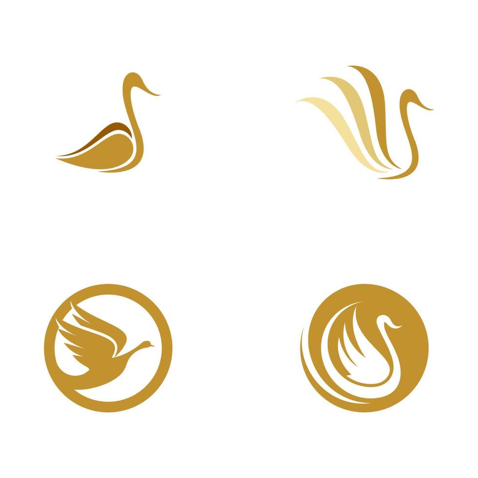 Swan icon Template vector