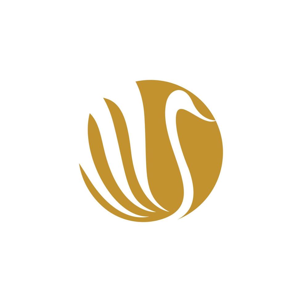 Swan icon Template vector