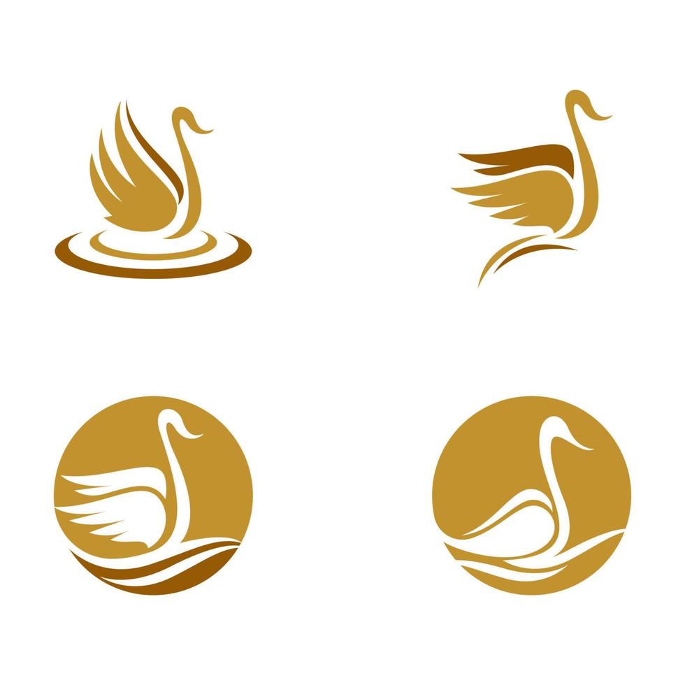 vector de plantilla de icono de cisne