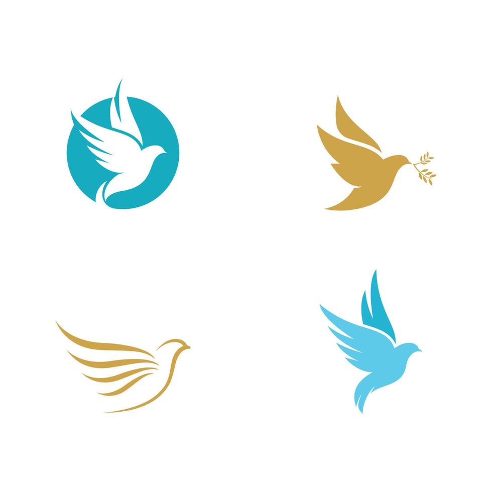 Bird wing Dove icon Template vector illustration