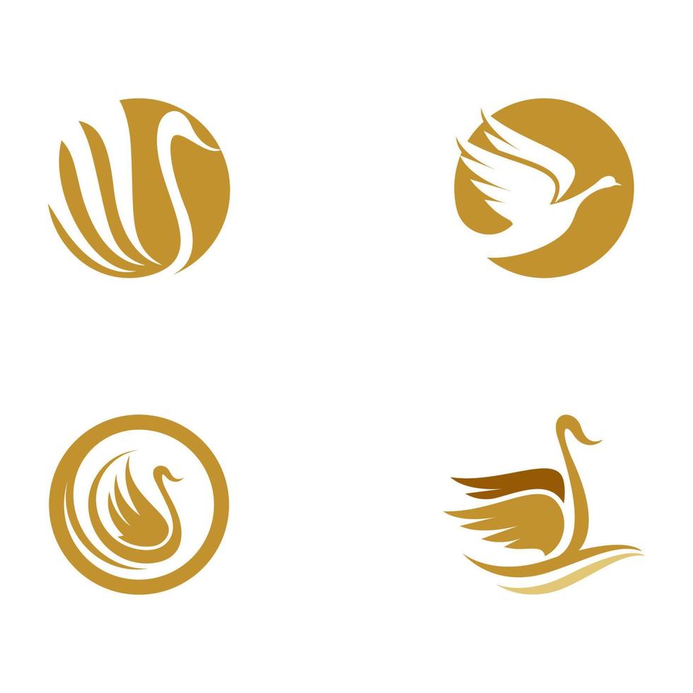 Swan icon Template vector