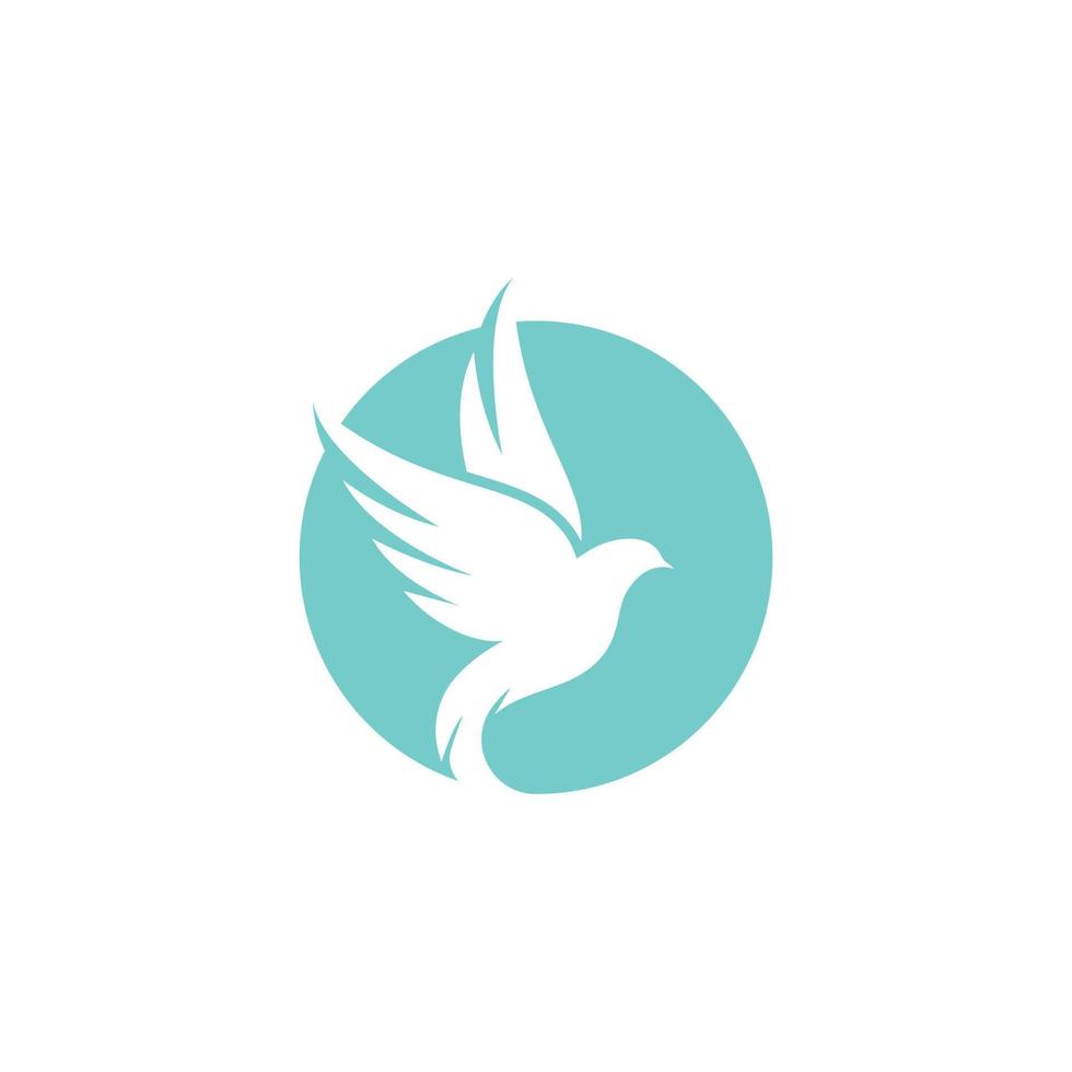 Bird wing Dove icon Template vector illustration