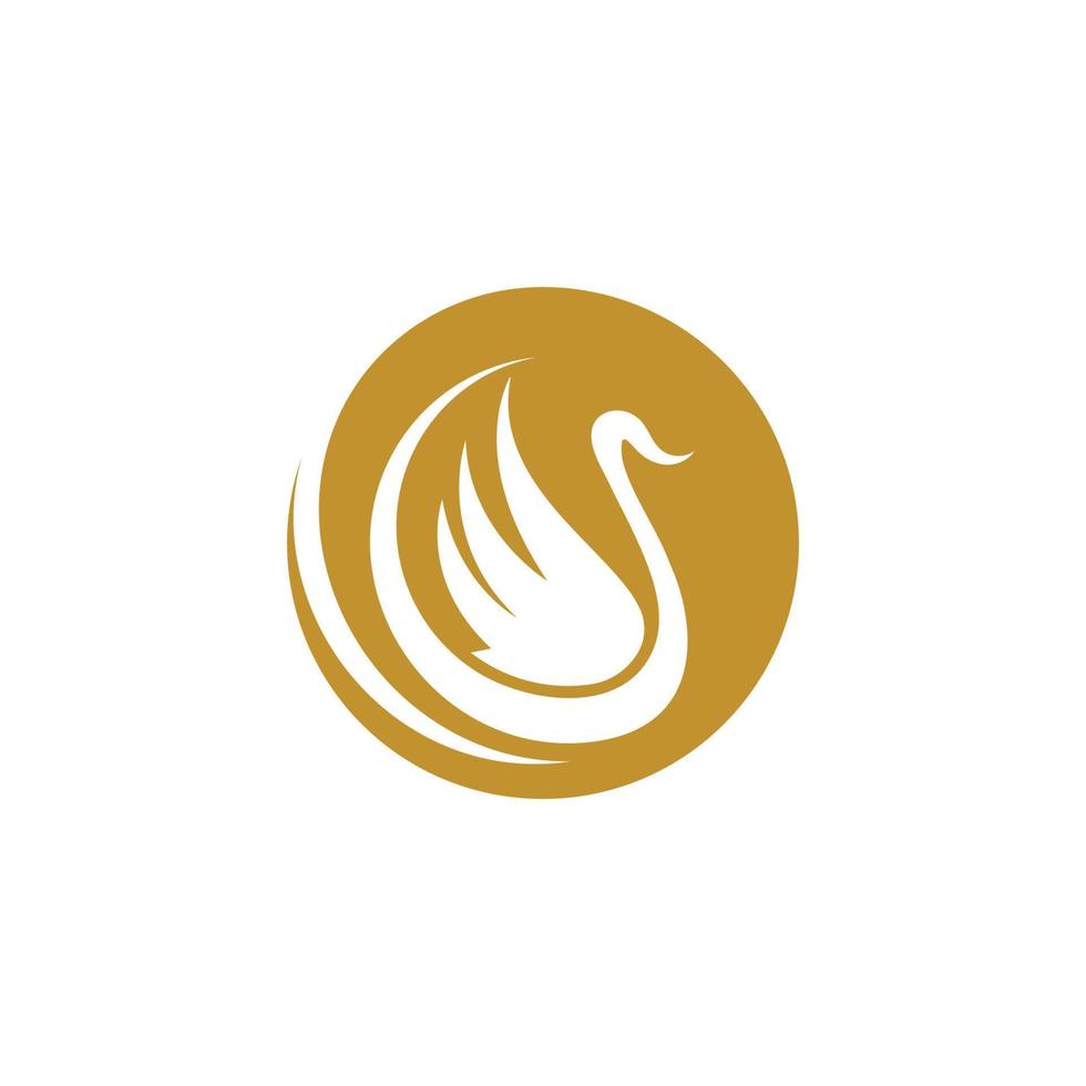 Swan icon Template vector