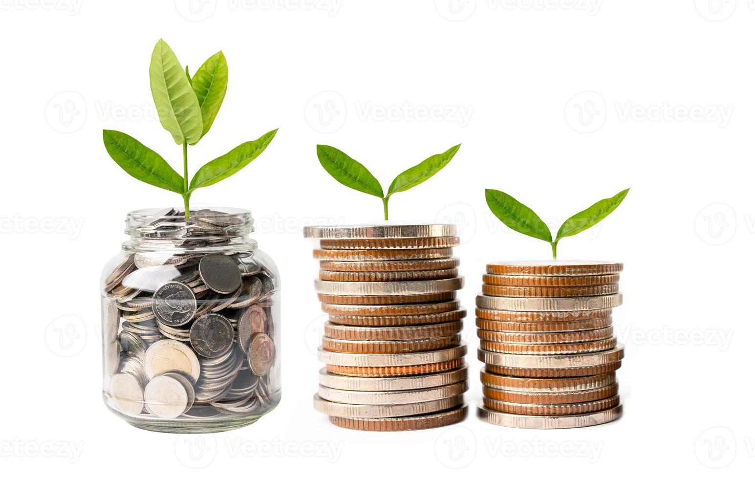 hoja de árbol en monedas de ahorro de dinero, concepto de inversión bancaria de ahorro de finanzas comerciales. foto