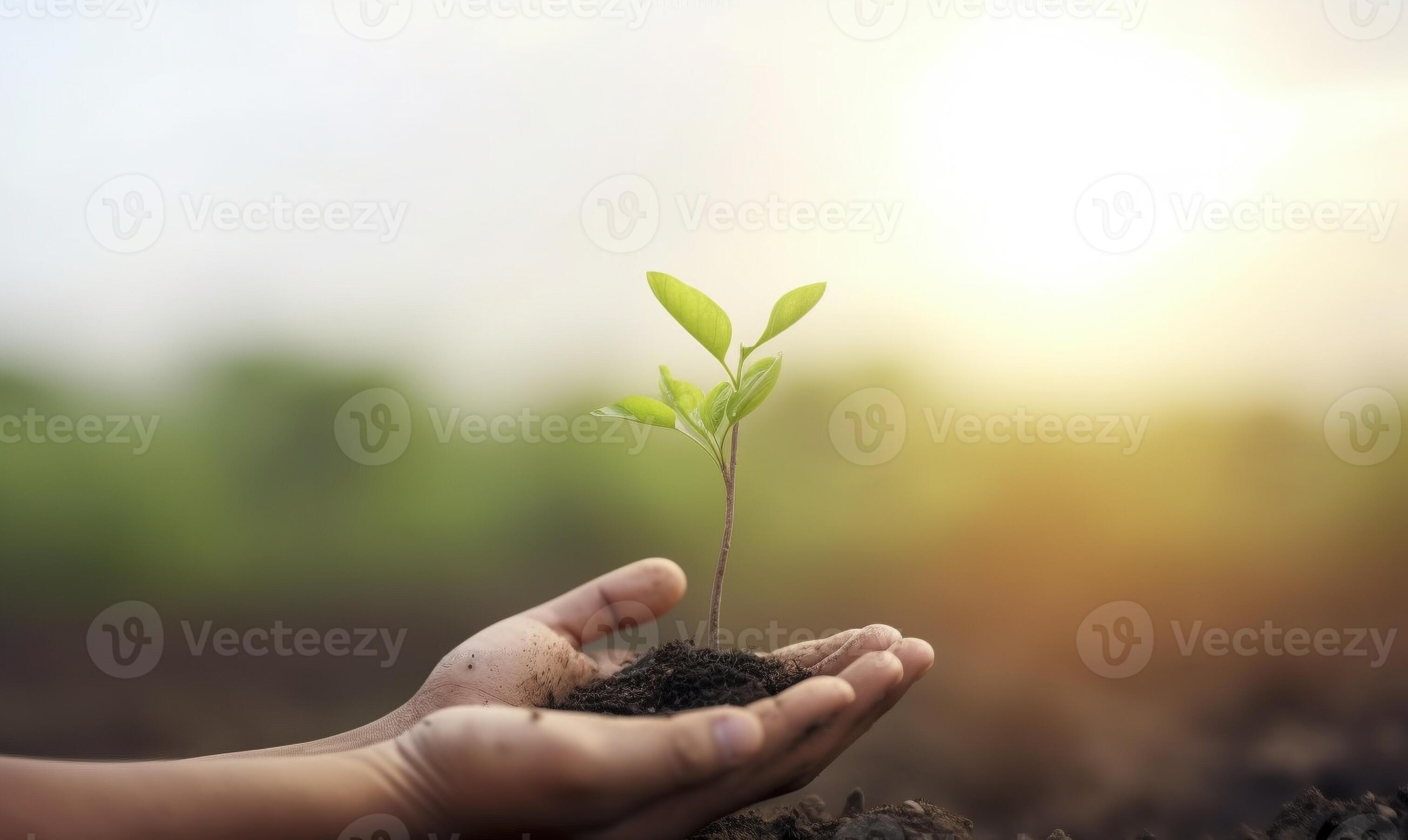 Hand holding small plant, created with generative AI 22138370 Stock