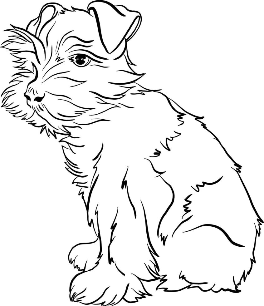 Affenpoo dog breed black and white line drawing doodle style vector illustration
