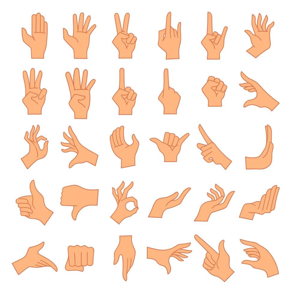 Hands poses. Female hand holding and pointing gestures. vector