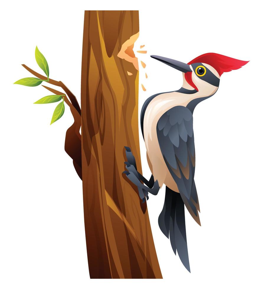 Cute woodpecker bird cartoon illustration isolated on white background vector