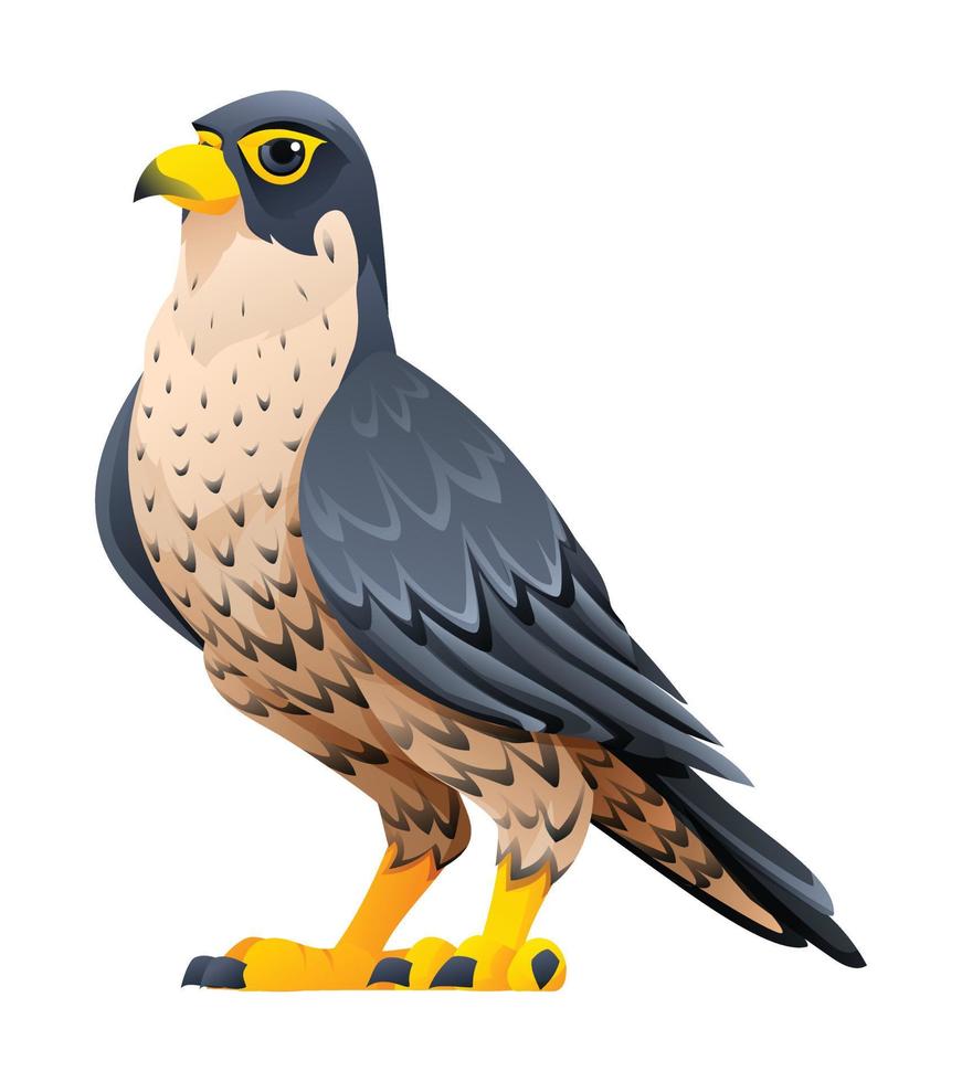 Peregrine falcon cartoon illustration isolated on white background vector