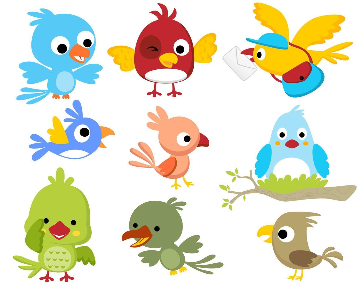 vector conjunto de aves dibujos animados en diferente actividad