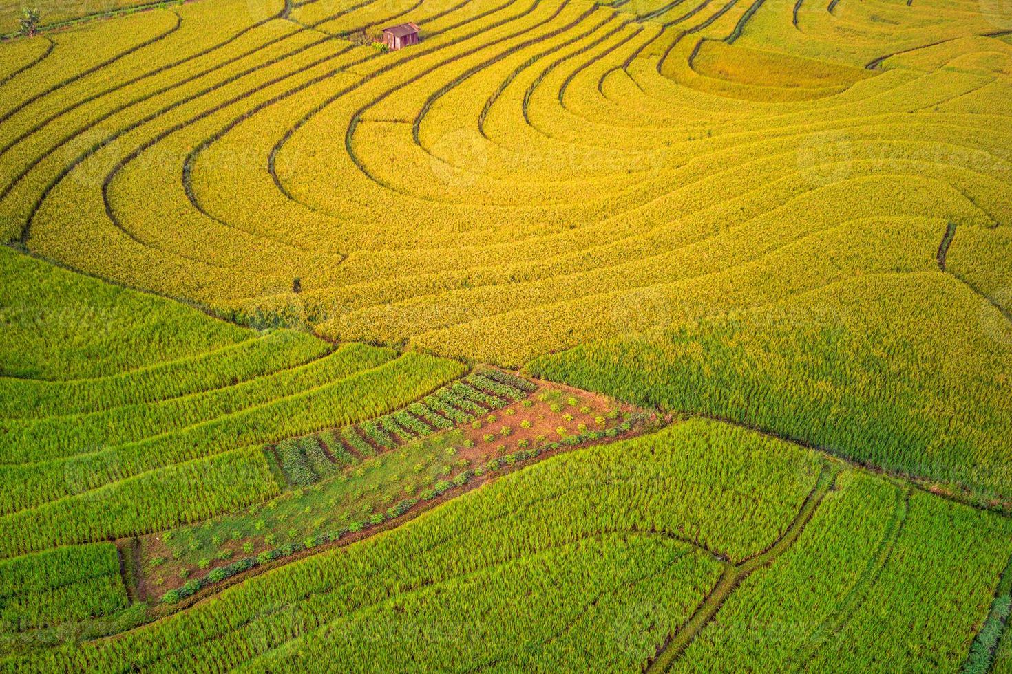 aerial view beautiful morning view from Indonesia about mountain and forest photo