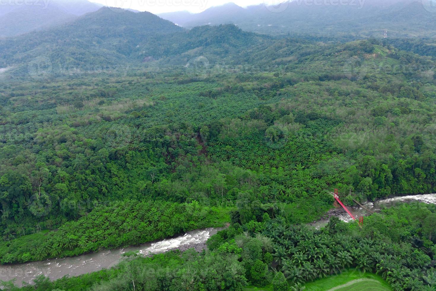 aerial view beautiful morning view from Indonesia about mountain and forest photo
