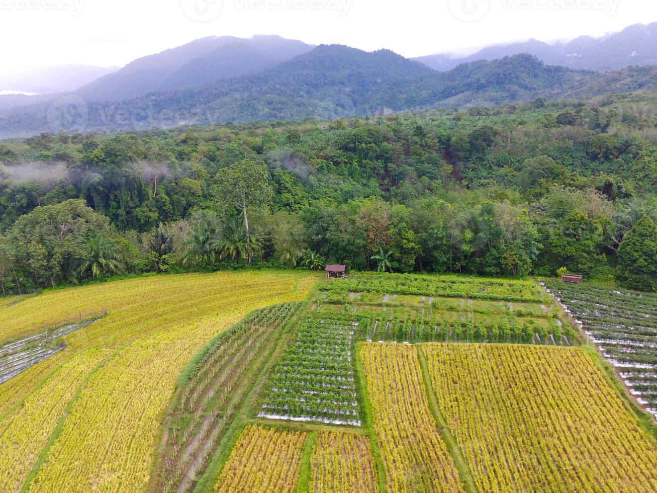 aerial view beautiful morning view from Indonesia about mountain and forest photo