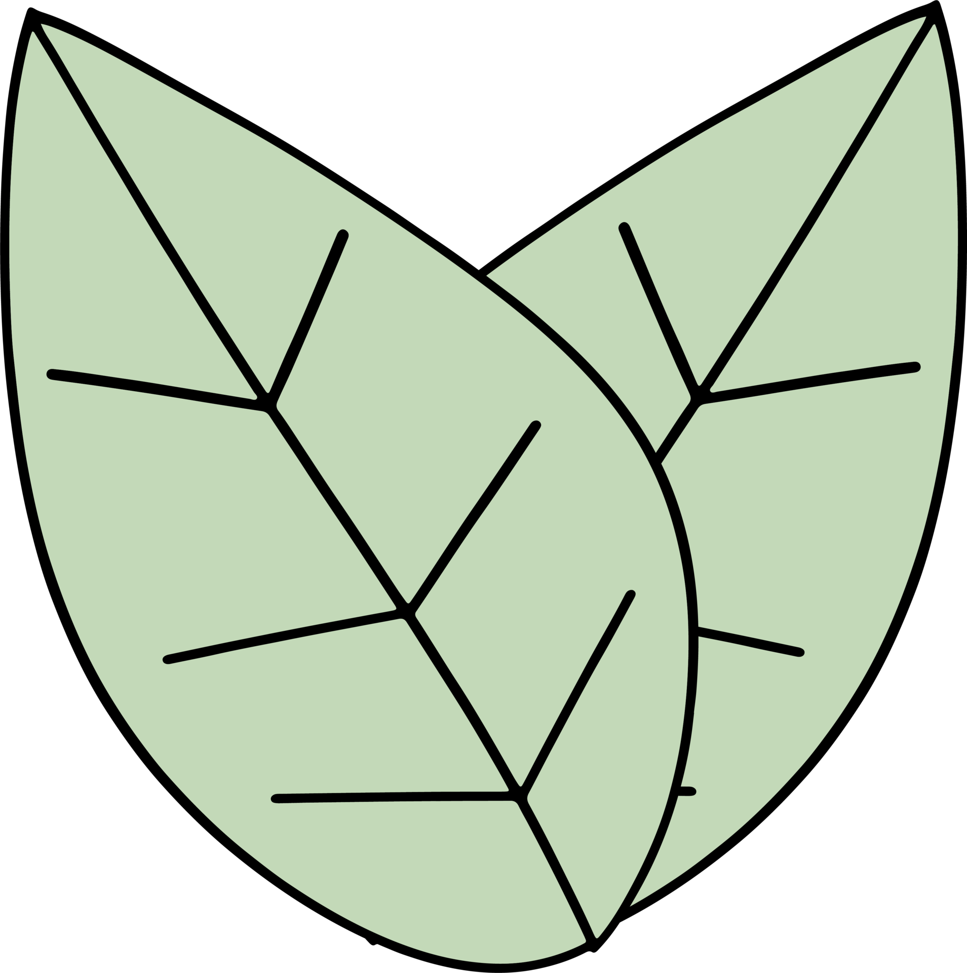 The green leaf drawing image 22144000 PNG