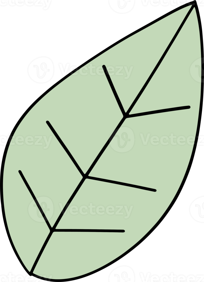 de groen blad tekening beeld png