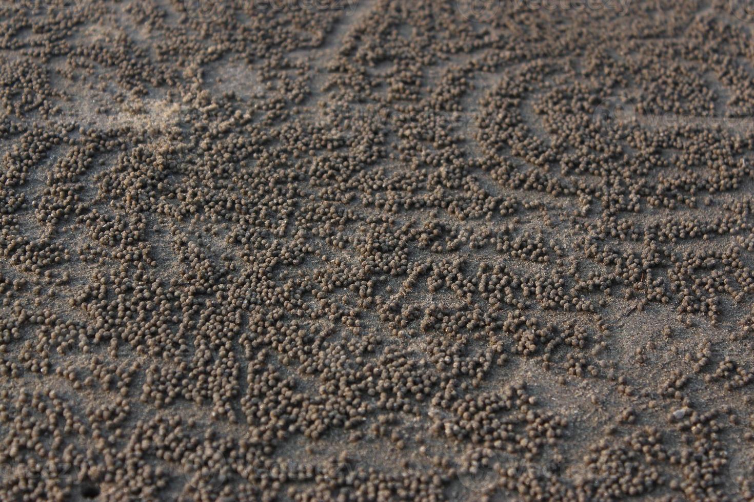 Sand texture background. Close-up of sand texture for background. photo