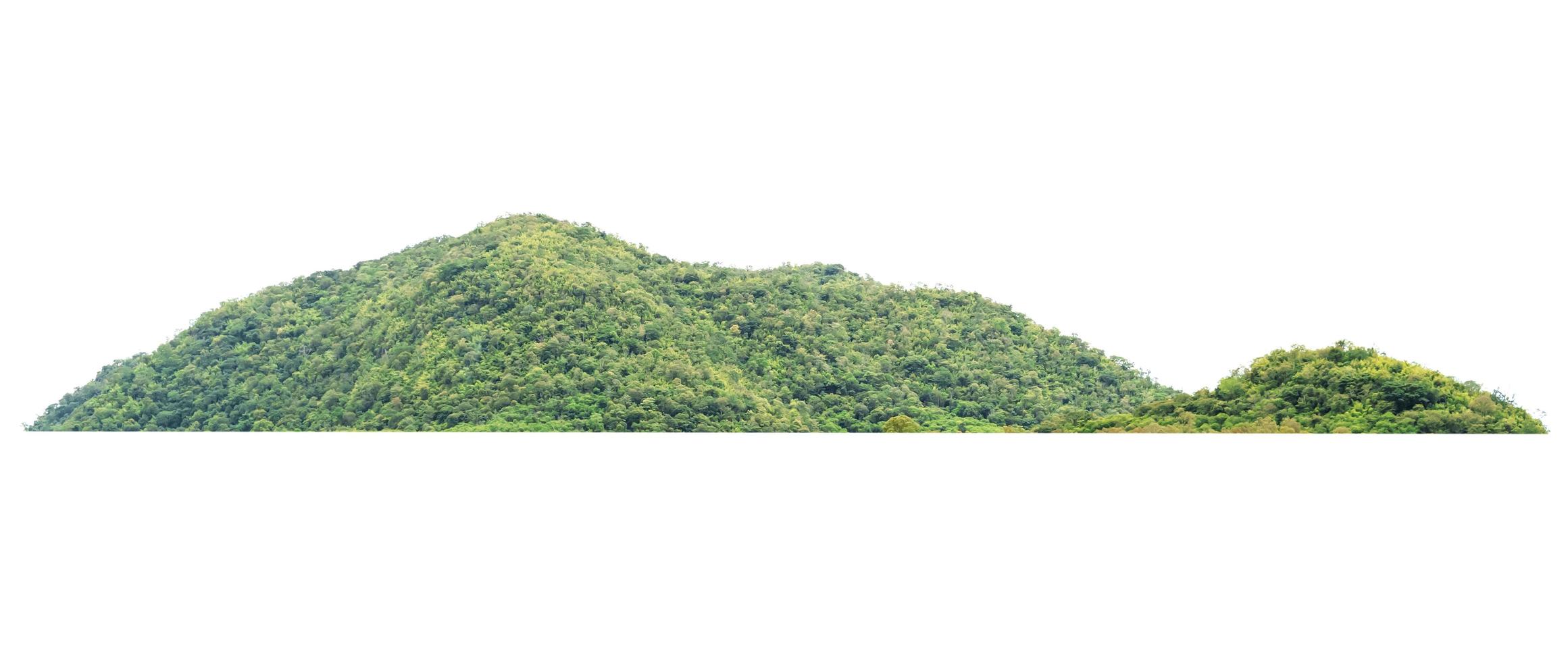 rock mountain hill with  green forest isolate on white background photo