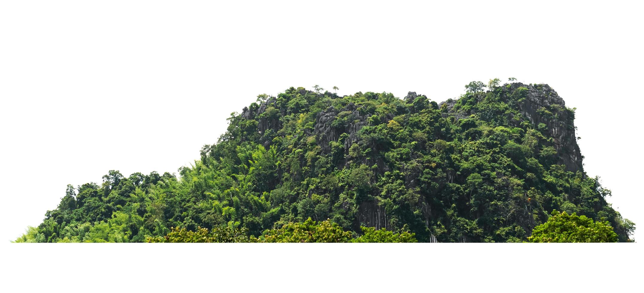 colina de montaña rocosa con bosque verde aislado sobre fondo blanco foto