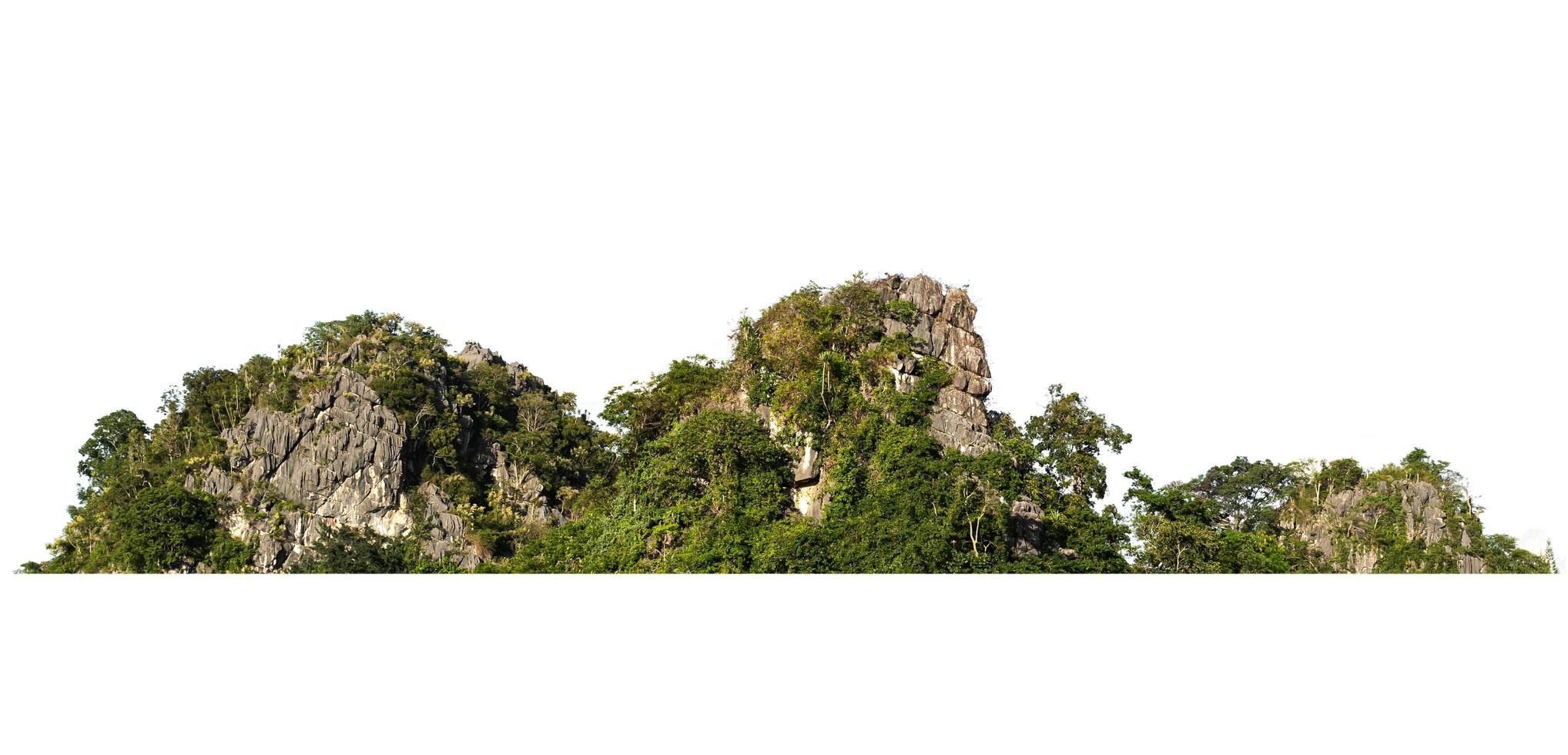 rock mountain hill with  green forest isolate on white background photo