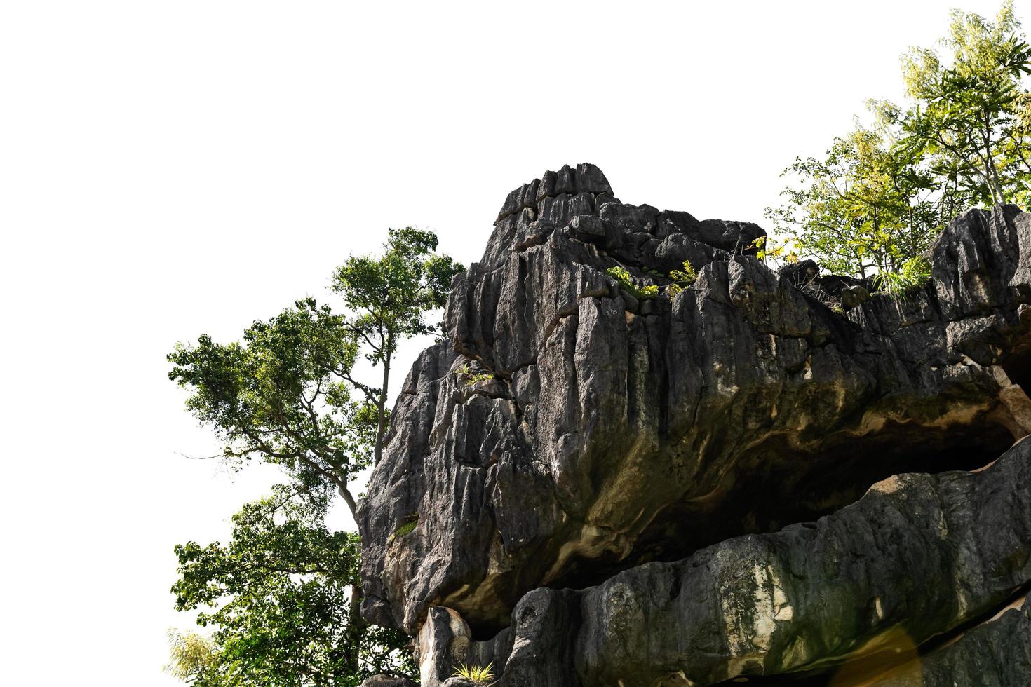 rock mountain hill with  green forest isolate on white background photo