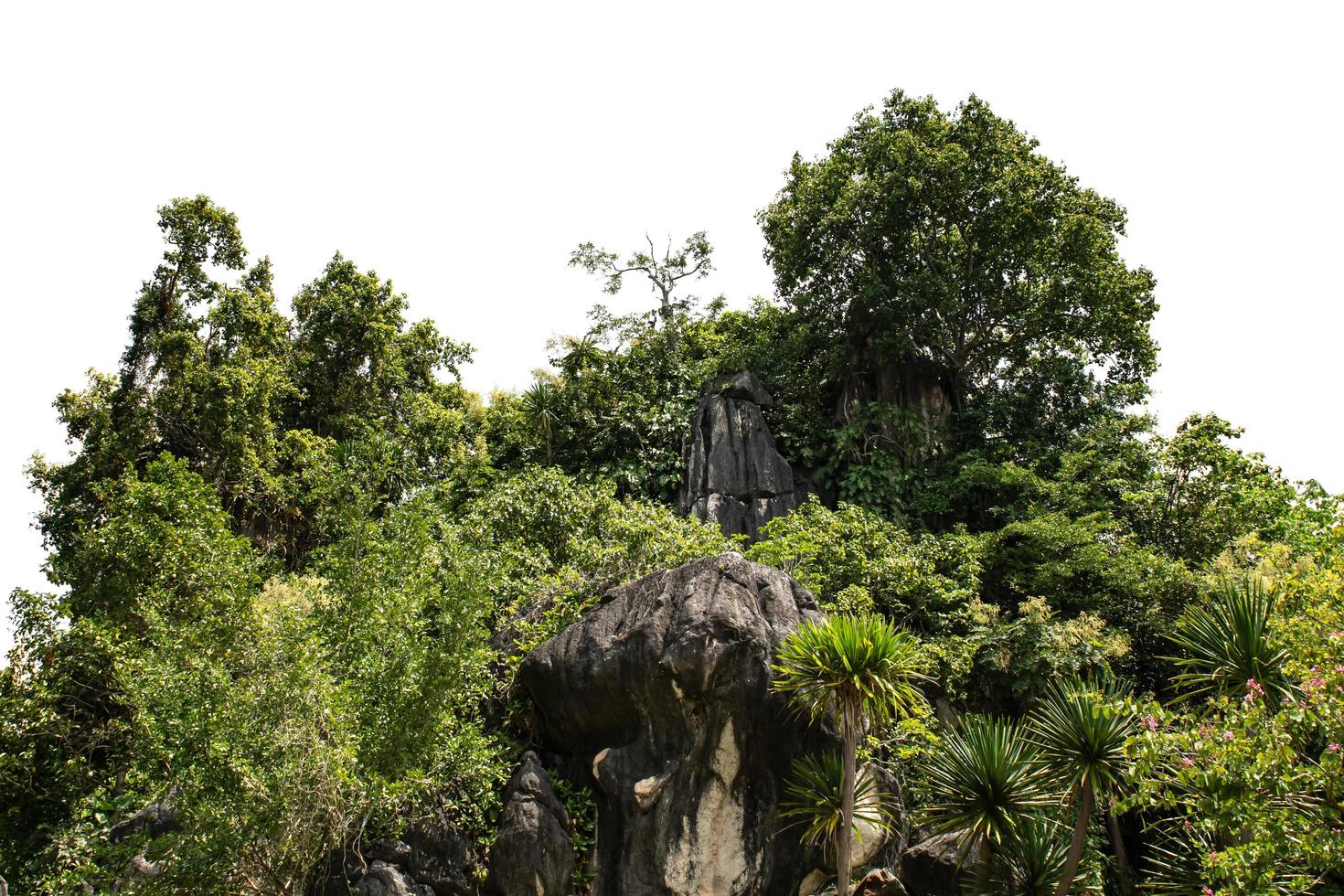 rock mountain hill with  green forest isolate on white background photo