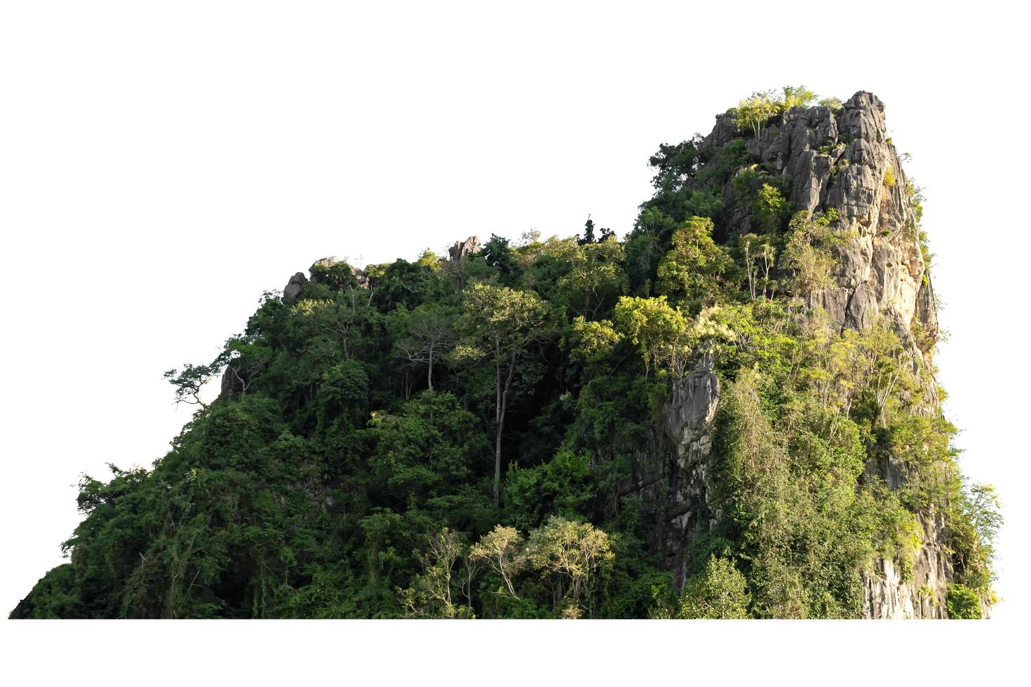 rock mountain hill with  green forest isolate on white background photo