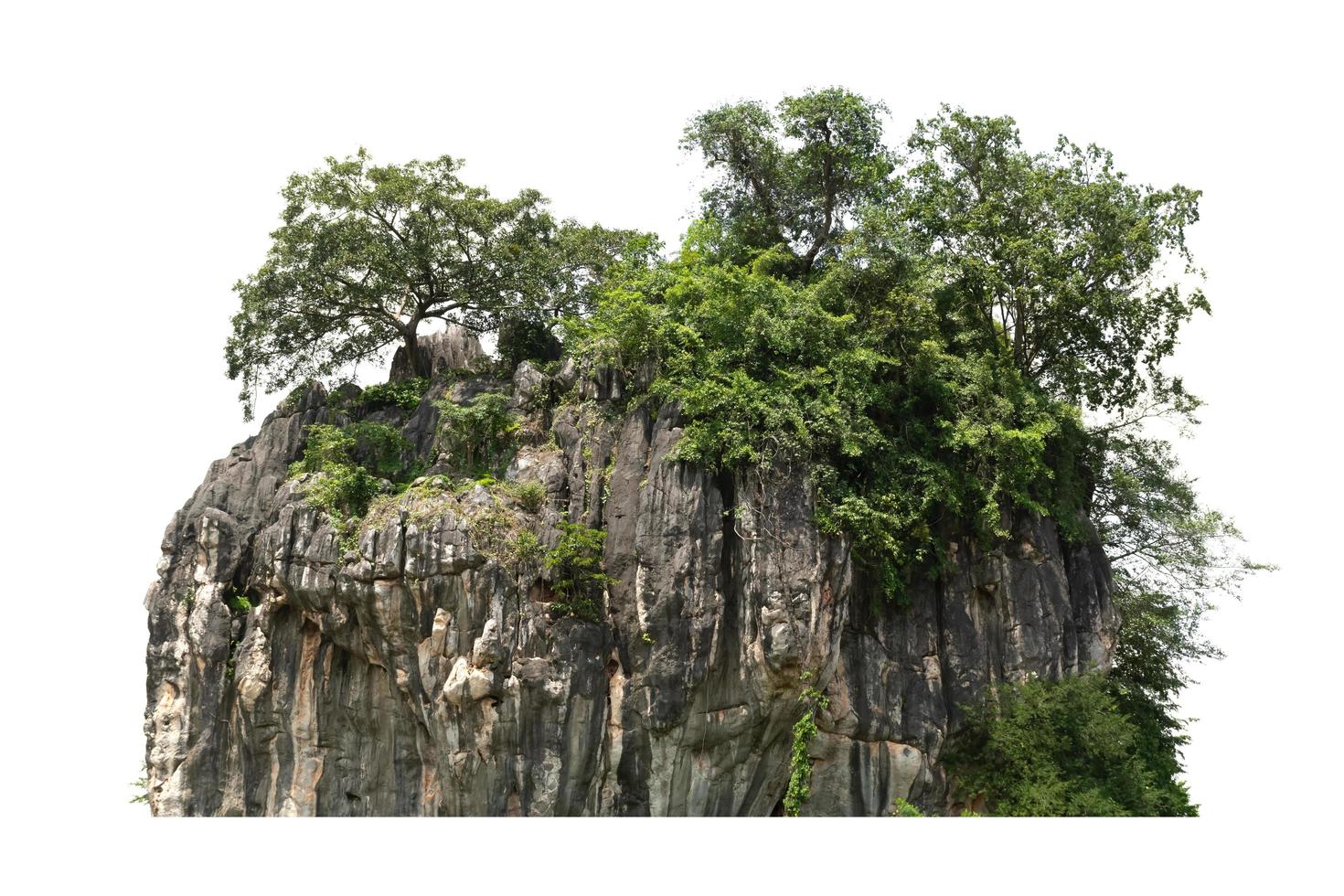 rock mountain hill with  green forest isolate on white background photo
