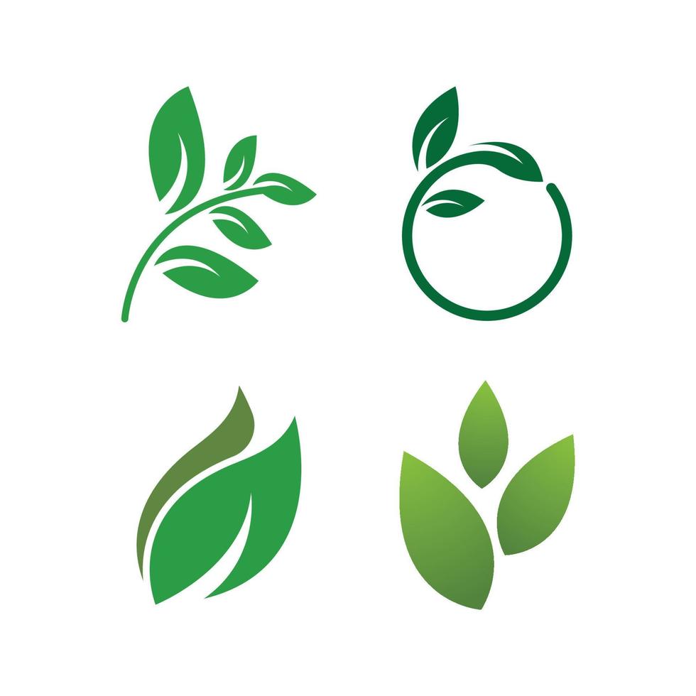 Green leaf logo vector